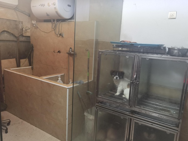 保利麓谷林语每月3W临街宠物店转让无行业限制Y6232 保利麓谷林语每月3W临街宠物店转让无行业限制Y6232