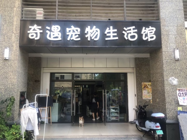 M910 爆120平 芙蓉区成熟小区3年宠物老店低价转让M910 M910 爆120平 芙蓉区成熟小区3年宠物老店低价转让M910