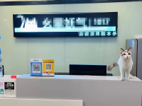 Y9142急急急转临近五一广场湘域国际中心剧本店