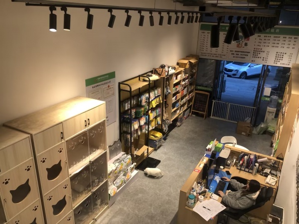 MK214 雨花区阳光城青云苑正门口宠物医院精装修带资源优价转让 MK214 雨花区阳光城青云苑正门口宠物医院精装修带资源优价转让