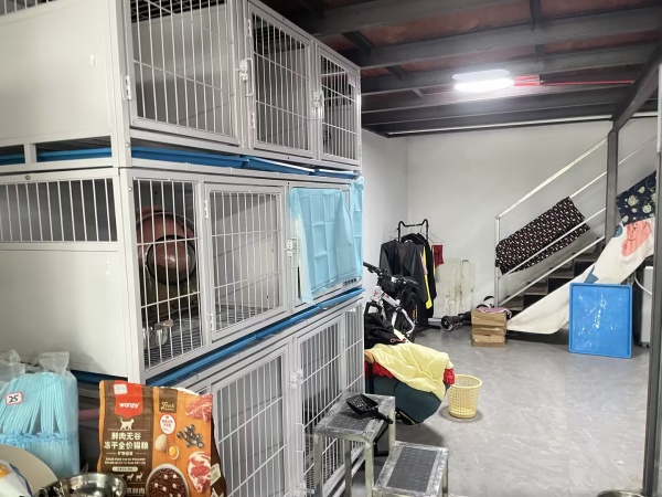 646128急转4.5万!望城区月亮岛富基世纪公园旁小区宠物店带资源低价优转 646128急转4.5万!望城区月亮岛富基世纪公园旁小区宠物店带资源低价优转