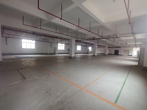 548101黄花工业园独门独院标准厂房整栋或分层低价直租 548101黄花工业园独门独院标准厂房整栋或分层低价直租