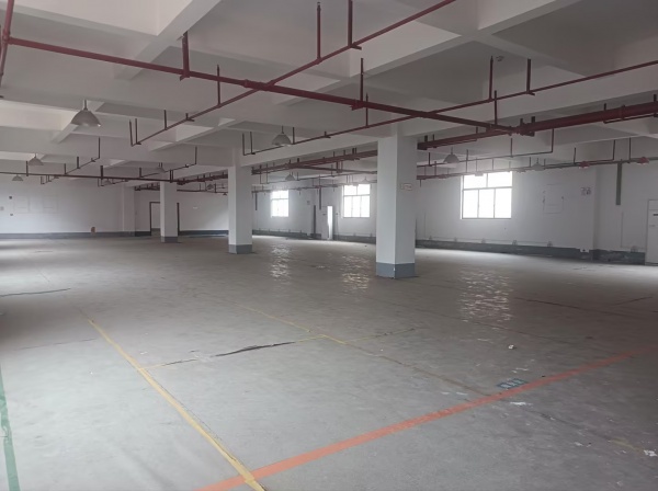 548101黄花工业园独门独院标准厂房整栋或分层低价直租 548101黄花工业园独门独院标准厂房整栋或分层低价直租