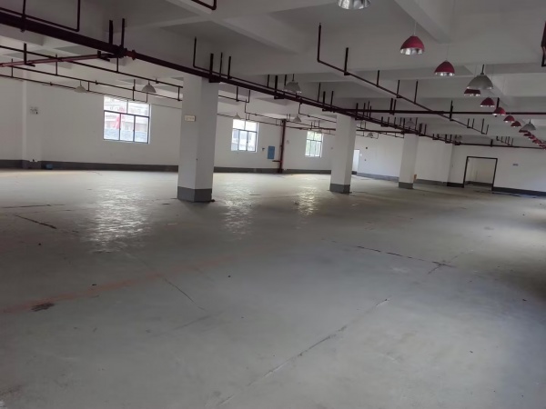 548101黄花工业园独门独院标准厂房整栋或分层低价直租 548101黄花工业园独门独院标准厂房整栋或分层低价直租