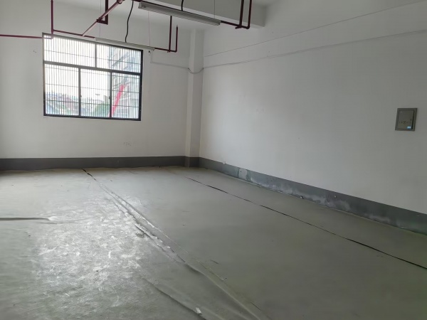 548101黄花工业园独门独院标准厂房整栋或分层低价直租 548101黄花工业园独门独院标准厂房整栋或分层低价直租