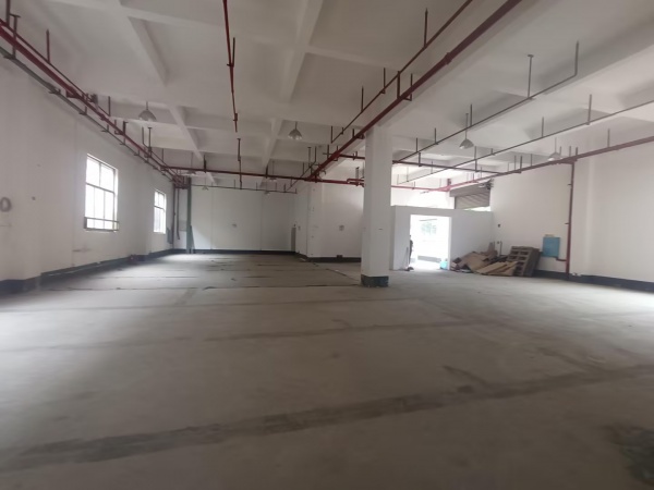 548101黄花工业园独门独院标准厂房整栋或分层低价直租 548101黄花工业园独门独院标准厂房整栋或分层低价直租