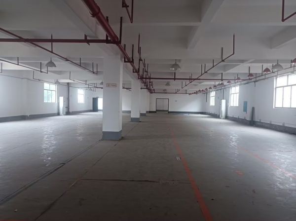 548101黄花工业园独门独院标准厂房整栋或分层低价直租 548101黄花工业园独门独院标准厂房整栋或分层低价直租