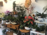 241272房东直租芙蓉天街中交广场30平双门头门面直租低价不限制行业！