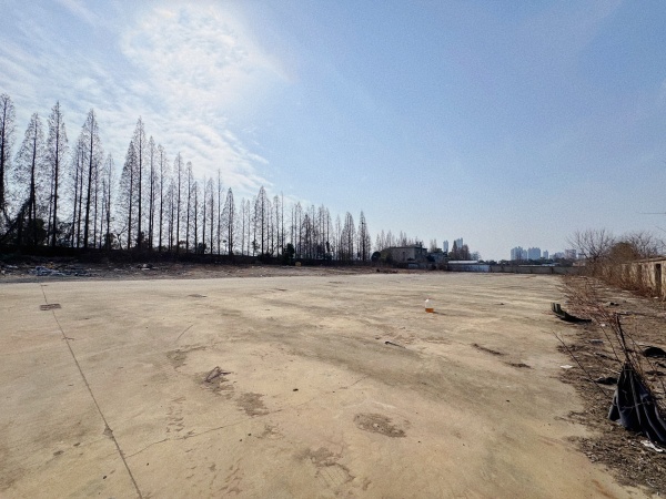 (已租)251061开福区大道. 8亩场地出租.独门独院房东直租 (已租)251061开福区大道. 8亩场地出租.独门独院房东直租