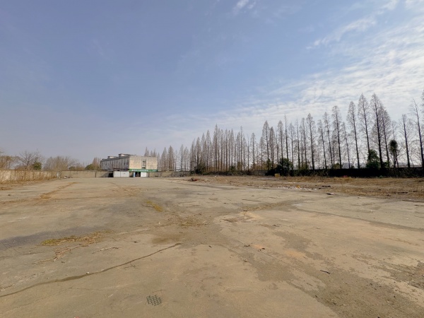 (已租)251061开福区大道. 8亩场地出租.独门独院房东直租