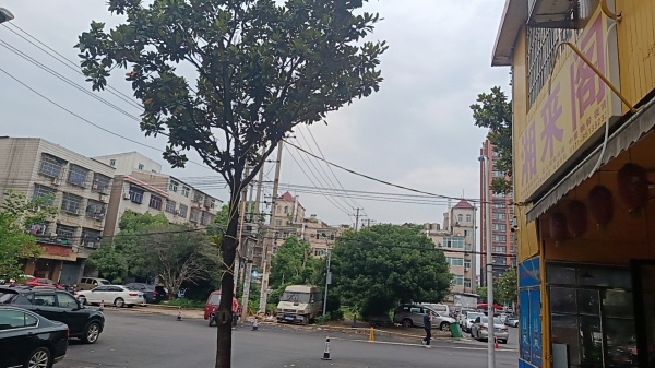 555124【4万急转】!万人小区洞井商贸城拐角餐饮店低价转让 555124【4万急转】!万人小区洞井商贸城拐角餐饮店低价转让