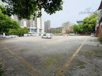 3512115观沙岭商圈.独门独院5亩场地出租.已做硬化.房东直租