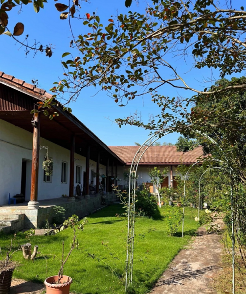 Y02014春华镇农庄小院30亩独门独院场地租可做厂房仓库 Y02014春华镇农庄小院30亩独门独院场地租可做厂房仓库