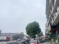 Y04053（看的勿扰员工客人）望城多栋工业园区及Xue校小区围绕水果店优转