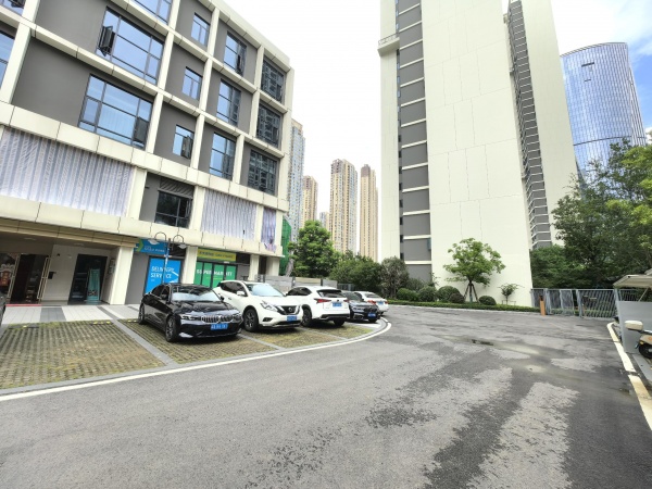 Y07088滨江府商务楼5楼260平毛坯整租.可送装修期 Y07088滨江府商务楼5楼260平毛坯整租.可送装修期