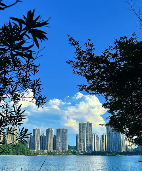 Y08110梅溪湖一线湖景临街独栋两层260平带院子门面优转(或找合伙) Y08110梅溪湖一线湖景临街独栋两层260平带院子门面优转(或找合伙)