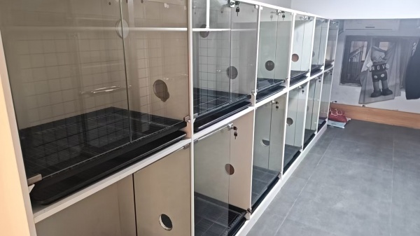 Y09033底价急转急急急急转 恒大江湾底商100平宠物店 Y09033底价急转急急急急转 恒大江湾底商100平宠物店