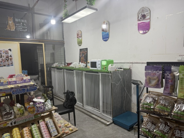 A09098望城区月亮岛小区宠物店带资源低价优转 A09098望城区月亮岛小区宠物店带资源低价优转