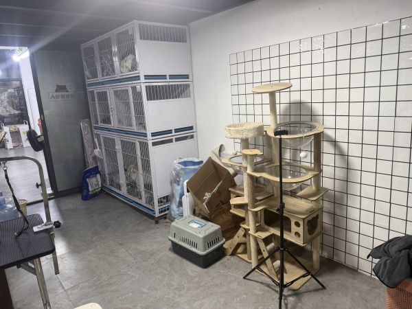 A09098望城区月亮岛小区宠物店带资源低价优转 A09098望城区月亮岛小区宠物店带资源低价优转