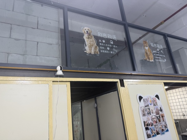 A09098望城区月亮岛小区宠物店带资源低价优转 A09098望城区月亮岛小区宠物店带资源低价优转