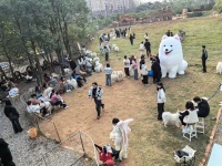 A10023雨花区5千平宠物乐园露营基地优价转(带资源 A10023雨花区5千平宠物乐园露营基地优价转(带资源